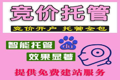 SEM托管代运营案例：助力企业品牌塑造